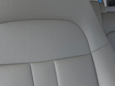 2025 Chevrolet Express Passenger LS