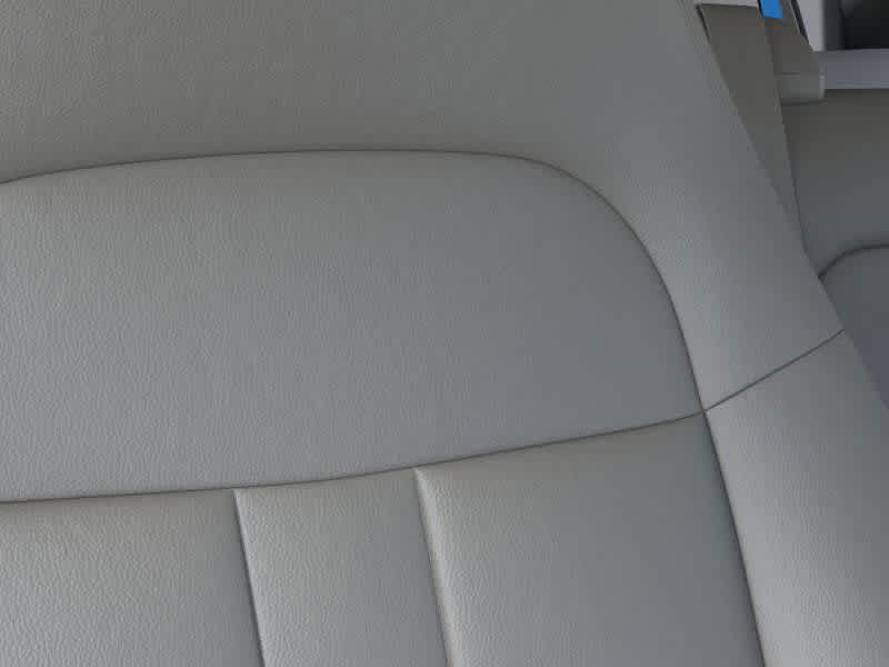 2025 Chevrolet Express Passenger LS